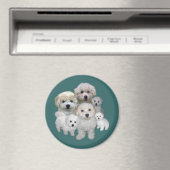Bichon Frise Puppies Magnet (Insitu (Vaatwasser))