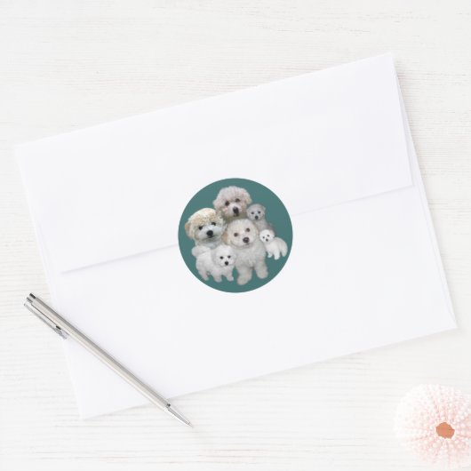 Bichon Frise Puppies Sticker (Envelop)