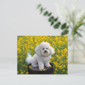 Bichon Frise Puppy Dog Blank Greeting Post Kaart (Staand voorkant)