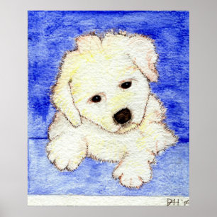 Bichon Frise Puppy Dog Portret Poster