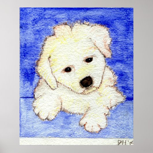 Bichon Frise Puppy Dog Portret Poster (Voorkant)