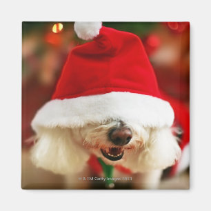 Bichon Frise puppy dragen Santa kostuum Magneet