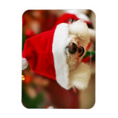 Bichon Frise puppy dragen Santa kostuum Magneet (Verticaal)