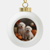Bichon Frise Puppy Herfst Delight Pompoen Keramische Bal Ornament (Voorkant)