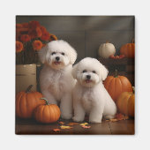 Bichon Frise Puppy Herfst Delight Pompoen Magneet (Voorkant)