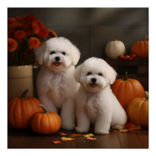 Bichon Frise Puppy Herfst Delight Pompoen Perfect Poster