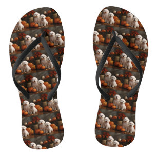 Bichon Frise Puppy Herfst Plezier Pompoen  Teenslippers