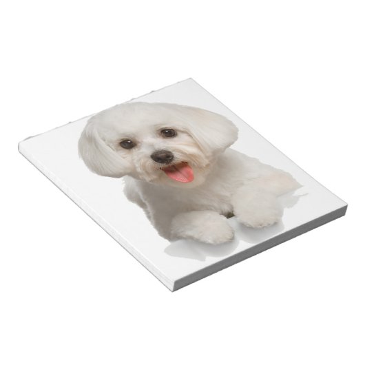 Bichon Frise Puppy Notitieblok (Schuin)