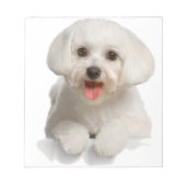 Bichon Frise Puppy Notitieblok (Voorkant)