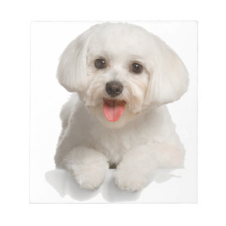 Bichon Frise Puppy Notitieblok