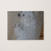 Bichon_Frise_puppy_slapen Legpuzzel (Horizontaal)