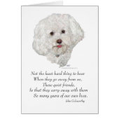 Bichon Frise Rainbow Bridge (Voorkant)