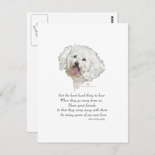 Bichon Frise Rainbow Bridge Briefkaart (Voorkant / Achterkant)