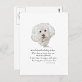 Bichon Frise Rainbow Bridge Briefkaart (Voorkant / Achterkant)