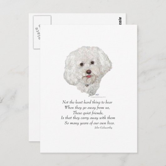 Bichon Frise Rainbow Bridge Briefkaart (Voorkant / Achterkant)