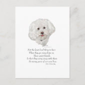 Bichon Frise Rainbow Bridge Briefkaart (Voorkant)