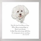 Bichon Frise Rainbow Bridge Poster (Voorkant)