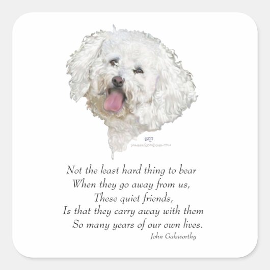 Bichon Frise Rainbow Bridge Vierkante Sticker (Voorkant)