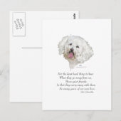 Bichon Frise Regenboogbrug Briefkaart (Voorkant / Achterkant)