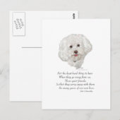 Bichon Frise Regenboogbrug Briefkaart (Voorkant / Achterkant)