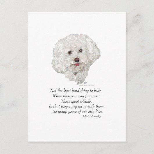 Bichon Frise Regenboogbrug Briefkaart (Voorkant)