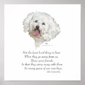 Bichon Frise Regenboogbrug Poster (Voorkant)