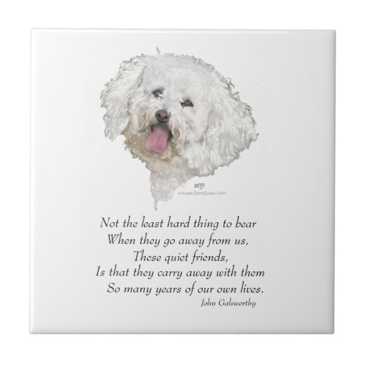 Bichon Frise Regenboogbrug Tegeltje (Voorkant)