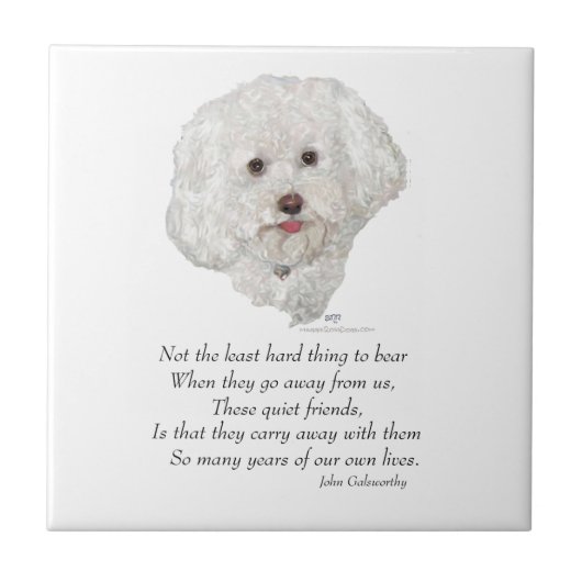 Bichon Frise Regenboogbrug Tegeltje (Voorkant)