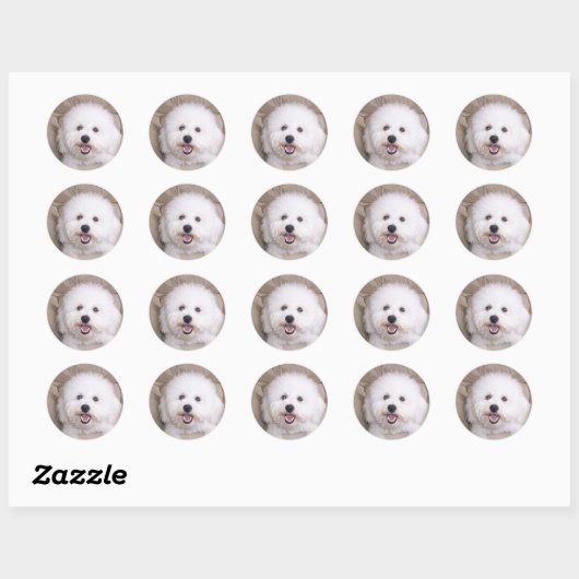 Bichon Frise Ronde Sticker (Vel)