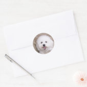 Bichon Frise Ronde Sticker (Envelop)