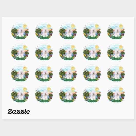 Bichon Frise Ronde Sticker (Vel)