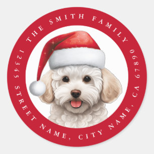 Bichon Frise Ronde Stickers