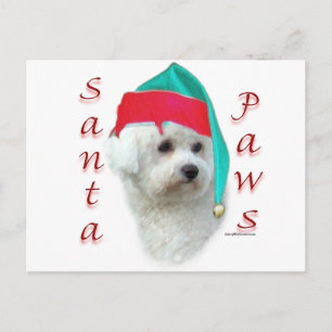 Bichon Frise Santa Paws Feestdagenkaart