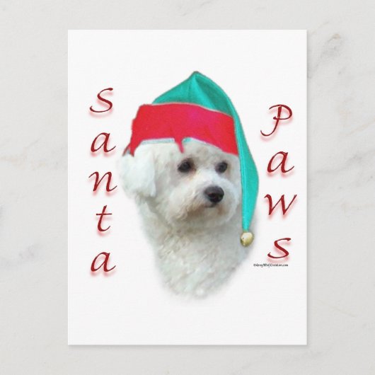 Bichon Frise Santa Paws Feestdagenkaart (Voorkant)
