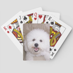 Bichon Frise Smiling Dog Playing Cards Pokerkaarten