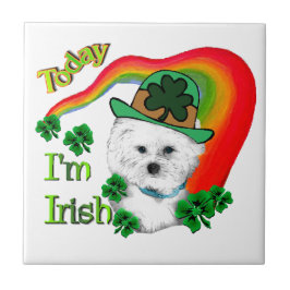Bichon Frise St Patricks Tegeltje