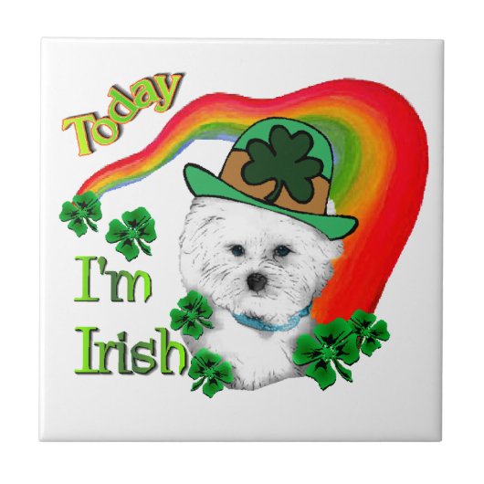 Bichon Frise St Patricks Tegeltje (Voorkant)