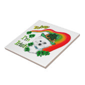 Bichon Frise St Patricks Tegeltje (Zijkant)