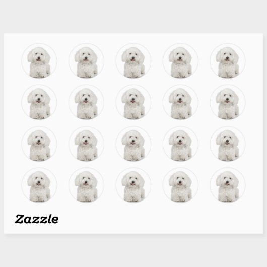 Bichon Frise Sticker (Vel)