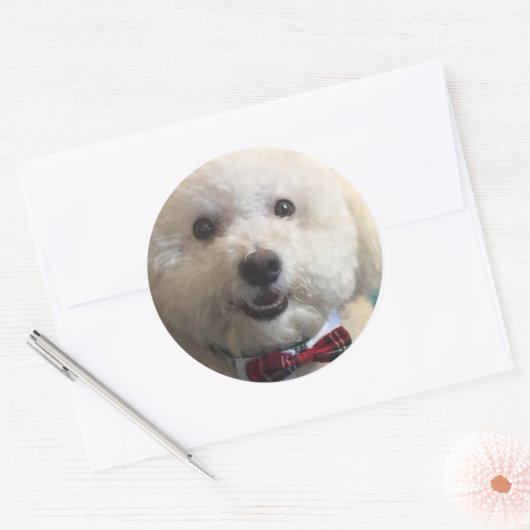 Bichon Frise - Sticker (Envelop)