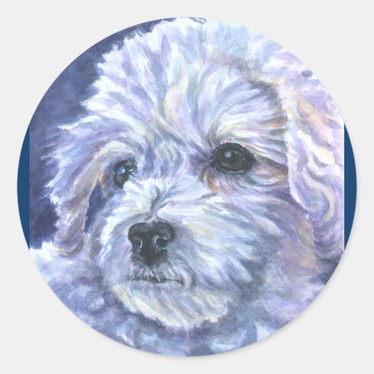 Bichon Frise Stickers (Voorkant)