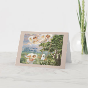 Bichon Frise Sympathy Card Kaart