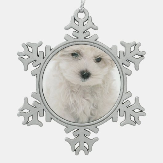 Bichon Frise Tin Sneeuwvlok Ornament (Voorkant)