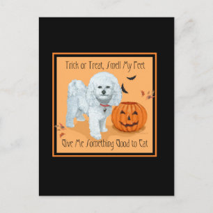 Bichon Frise Trick or Treat Briefkaart
