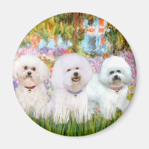 Bichon Frise Trio - Garden (VG) Magneet