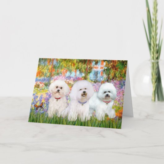 Bichon Frise Trio - Tuin (VG) Kaart (Voorkant)