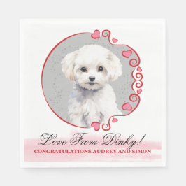 Bichon Frise Trouwservetten Met Honden Foto Servet