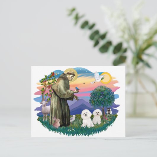 Bichon Frise (twee) Briefkaart (Staand voorkant)