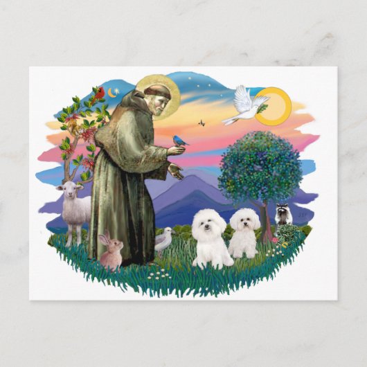 Bichon Frise (twee) Briefkaart (Voorkant)