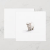 Bichon Frise Uitnodiging (Voorkant / Achterkant)